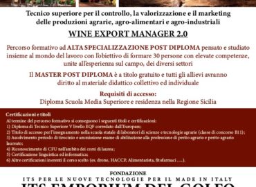 locandina wine export manager