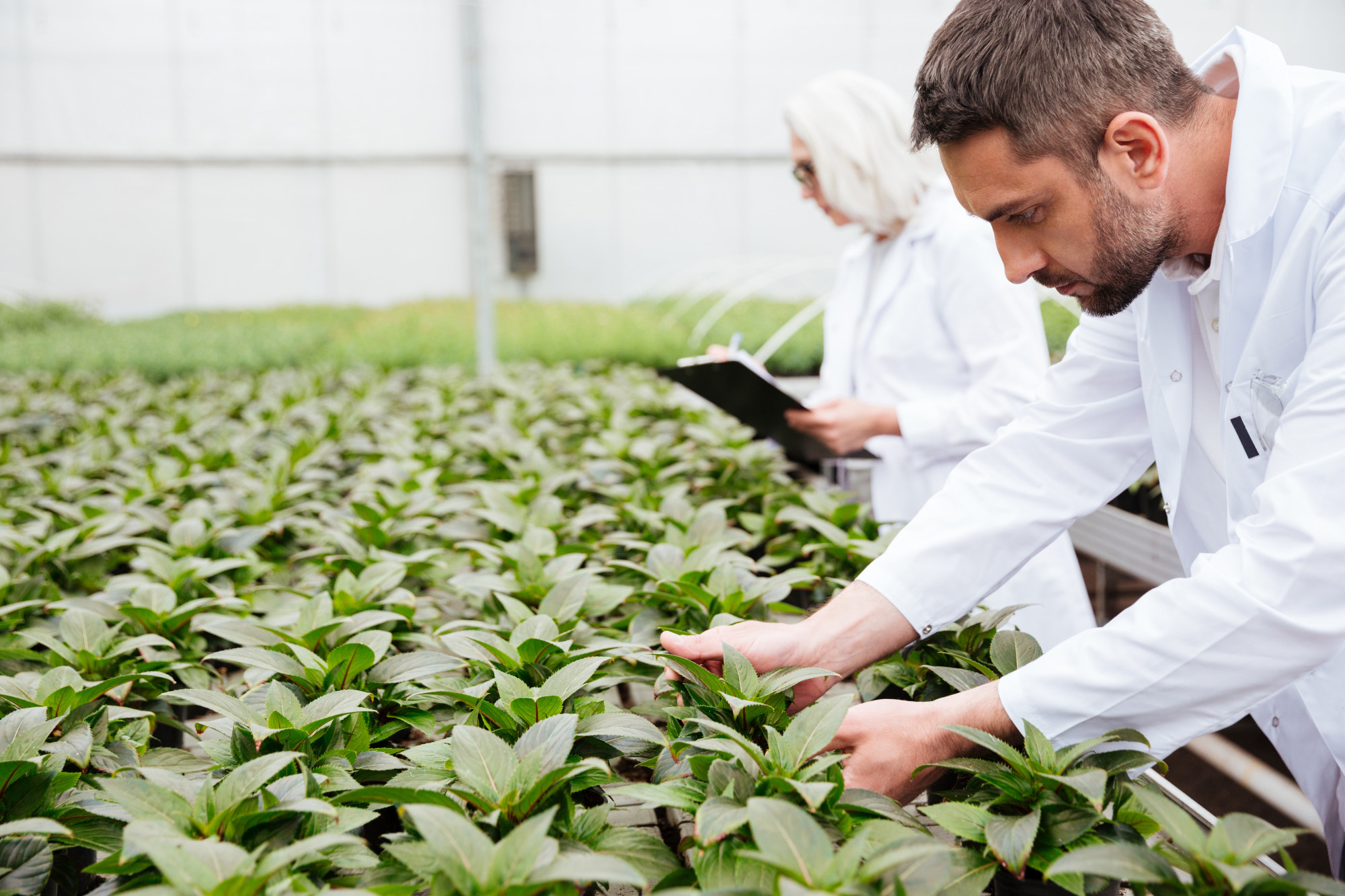 Trasparenza e Sicurezza nella Catena Agroalimentare (Palermo)